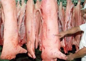 La cadena porcina sumó otro récord en producción y consumo