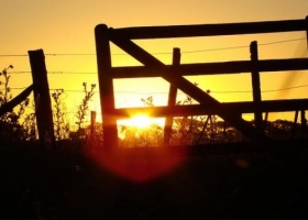 Sigue elevada la presión impositiva sobre el campo