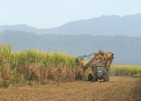 Boom de exportaciones de azúcar: subieron 211% en volumen