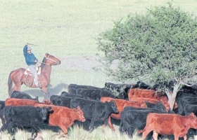 Cómo puede impactar en el campo una reforma tributaria