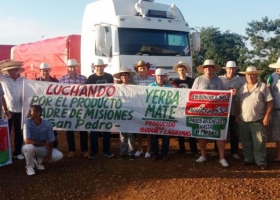 “Yerbatazo” en Plaza de Mayo: hoy repartirán 30.000 paquetes gratis a modo de protesta