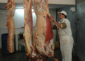 Las exportaciones de carne aumentaron 23% en enero