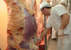 El Mercosur se consolida como el principal proveedor de carne bovina de China