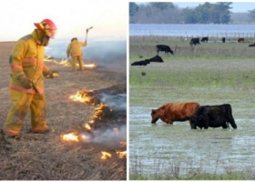 Inundaciones e incendios: suspensiones por causas de fuerza mayor en el ámbito rural.