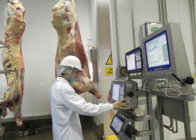Argentina volverá a tener datos confiables del sector ganadero luego de una década de oscurantismo estadístico
