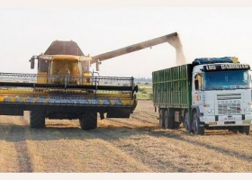 1 de cada 8 puestos de trabajo es generado por la agroindustria en Buenos Aires