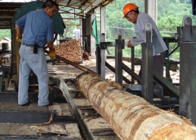 Entre Ríos: senadores buscan reformar la ley que prohíbe exportar madera a Uruguay