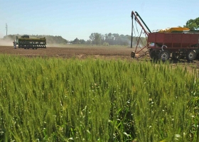 Cómo la carga impositiva puede afectar la liquidez del campo