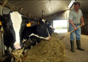Casi 44.000 tamberos europeos aceptaron recibir subsidios para reducir voluntariamente la oferta de leche