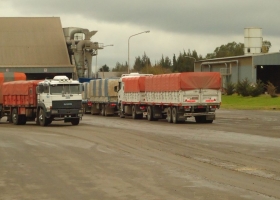 Se oficializaron las nuevas tarifas referenciales de fletes de granos: representan 32% del valor del maíz a 400 kilómetros de Rosario