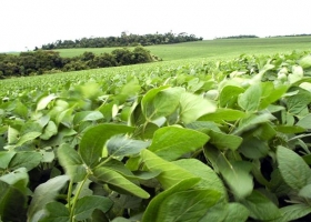 Se debatirá un proyecto para que 150 mil productores accedan a seguros agropecuarios