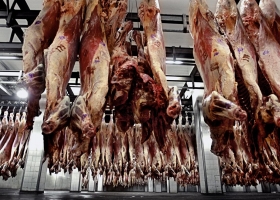 En Córdoba sólo el grupo Logros podría aprovechar la crisis de Brasil con la carne
