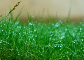 Pronostican fuertes lluvias para los próximos cinco días