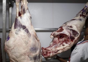 México comprará carne sin aranceles