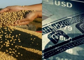 Inversiones poscosecha: ¿peso o dólar?