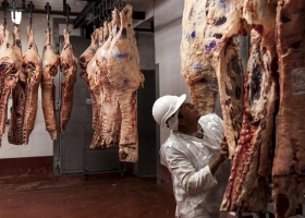 La cadena de la carne también tiene su blanqueo: se triplicó el total de matarifes inscriptos