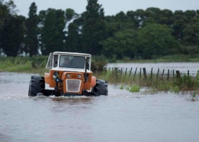 Acorralados por la inundación, en el sur cordobés los productores buscan salvar la hacienda