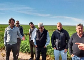 Se conformó la Cámara Argentina de la Alfalfa
