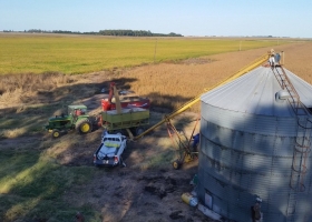 Adreani: “Si la soja no sube de precio se está incubando una de las peores crisis del sector agrícola”
