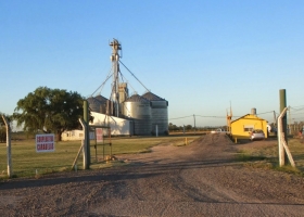 La ansiedad tiene precio: acopios salen a ofrecer canjes de soja con premios elevados para intentar despertar a la demanda