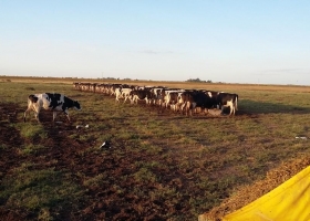 CRA solicitó al gobierno que el salvataje de SanCor también contemple a los tamberos: “Es un acto de extrema crueldad diferir el pago de la leche”