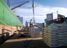 Entre Ríos: exportarán 13.500 toneladas de arroz a Irak