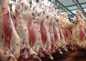 Cuestionan el Plan Maestro de la Carne propuesto por el gobierno