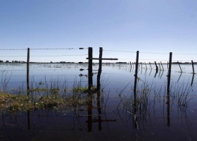 Presentan un proyecto para un sistema de seguros agropecuarios