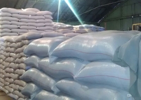 Decomisan más de 600 toneladas de soja y legumbres en el sur de Santa Fe