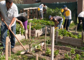 Auge de lo orgánico: buscan identificar a los productos de la agricultura familiar