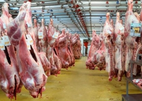 Carne vacuna: 5 factores pendientes para crecer en exportación 