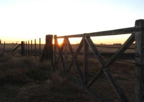 ¿Es el momento ideal para invertir en campos?