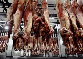 Por segundo año seguido, en 2016 un frigorífico nacional fue el principal exportador de carne vacuna