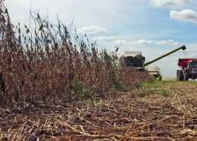 Por la inflación y la baja de precios, se deterioró el poder de compra de los productores del campo