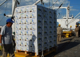 En lo que va del año cayeron las ventas externas y crecieron las importaciones de fruta y verdura