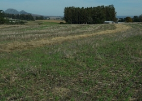 El INTA Balcarce creó una unidad especial de investigación en producción agroecológica