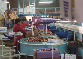 Economías regionales: afirman que tienen un problema de costos antes que de precios