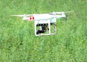 Cuáles son los nuevos puestos de trabajo que demanda el agro
