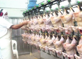 Carne: más producción acelera la necesidad de crecer en envíos