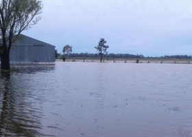 Aunque el río Uruguay dejó de crecer, hay 3.000 evacuados en el Litoral