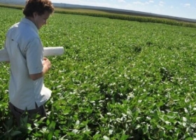 "La clave para el manejo de plagas es el monitoreo"