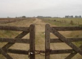 Entidades económicas santafesinas se oponen al revalúo de inmuebles rurales