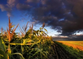 “Estamos trabajando más en coberturas de riesgo climático que en fondos de emergencia”
