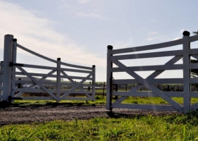 El negocio agrícola: ¿conviene dar el campo en alquiler?