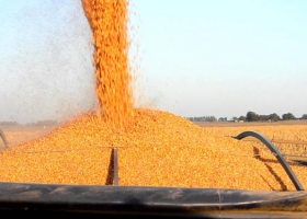 Quiere debatir la OMC el fin de subsidios agrícolas