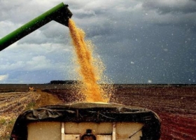Alza de combustibles impacta de lleno en el agro