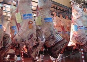 ¿Qué carnes demanda el mundo?