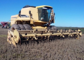 Productores del norte que hayan vendido soja en junio podrán cobrar una compensación de 283 $/tonelada: permite cubrir el 25% del flete desde Las Lajitas a Rosario