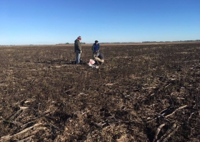 Crearon el “Observatorio Nacional de Suelos Agropecuarios” para sistematizar la evaluación del estado del recurso