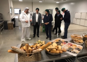 Hasta el ingreso de la nueva cosecha los precios del trigo disponible serán resultado de una pulseada entre productores y molineros
